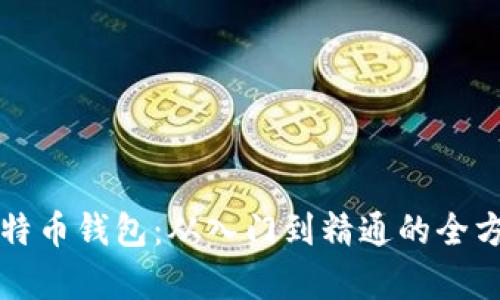 初学比特币钱包：从入门到精通的全方位指南