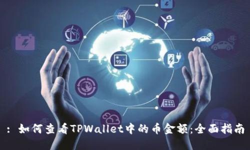 : 如何查看TPWallet中的币金额：全面指南
