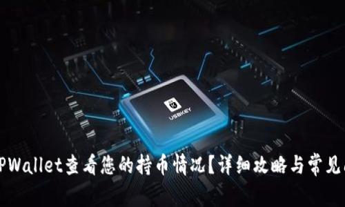 如何在TPWallet查看您的持币情况？详细攻略与常见问题解析