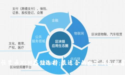 恒星币XLM存储选择：最适合的数字钱包推荐