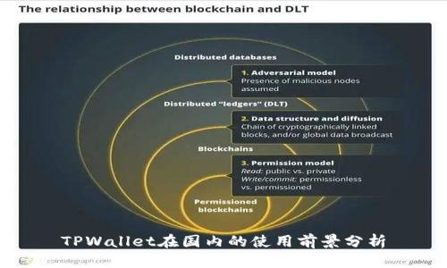 TPWallet在国内的使用前景分析