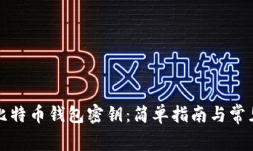 如何导入比特币钱包密钥：简单指南与常见问题解答