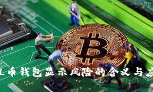 解析SOL币钱包显示风险的含义与应对策略