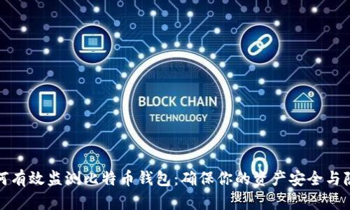如何有效监测比特币钱包：确保你的资产安全与隐私
