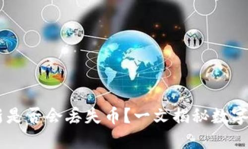 TPWallet不更新是否会丢失币？一文揭秘数字钱包的安全秘笈