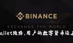 TPWallet跑路，用户的数字货