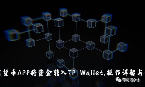 如何使用货币APP将资金转入TP Wallet，操作详解与注意事项