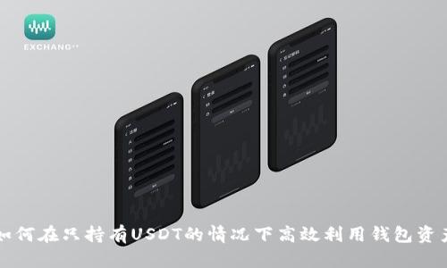 如何在只持有USDT的情况下高效利用钱包资产