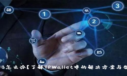 没有BNB怎么办？了解TPWallet中的解决方案与替代方法
