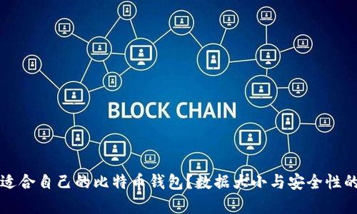 如何选择适合自己的比特币钱包？数据大小与安全性的深度解析