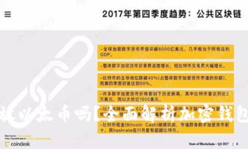 比特币钱包能放以太币吗？全面解析加密钱包的种类与选择