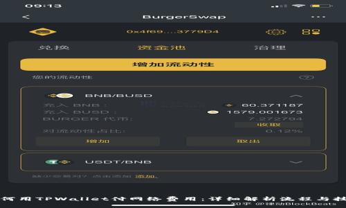 如何用TPWallet付网络费用：详细解析流程与技巧