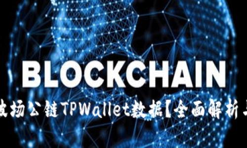 如何查看波场公链TPWallet数据？全面解析与实用指南