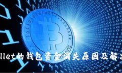 TPWallet的钱包资金消失原因及解决方案