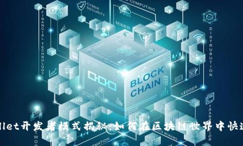 tpwallet开发者模式揭秘：如何在区块链世界中快速上手