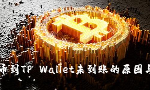 交易所提币到TP Wallet未到账的原因与解决方案