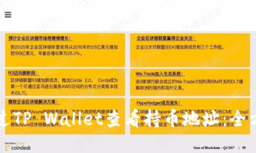 如何通过TP Wallet查看持币地址：全方位指南