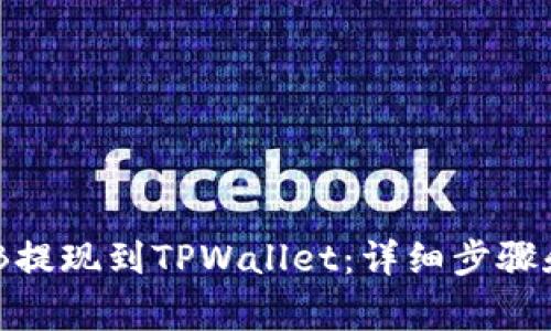 如何将BNB提现到TPWallet：详细步骤和注意事项