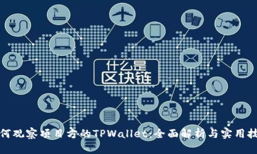 如何观察项目方的TPWallet：全面解析与实用技巧