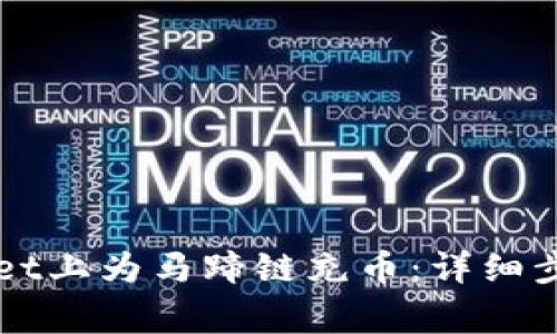 如何在TPWallet上为马蹄链充币：详细步骤与注意事项