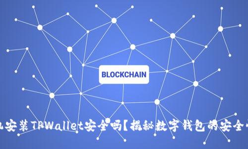 苹果手机安装TPWallet安全吗？揭秘数字钱包的安全性与风险