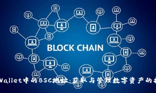 TPWallet中的BSC地址：获取与管理数字资产的指南