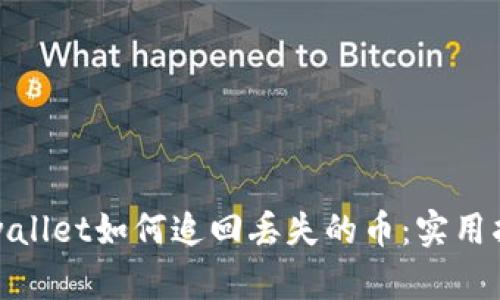 tpwallet如何追回丢失的币:实用指南