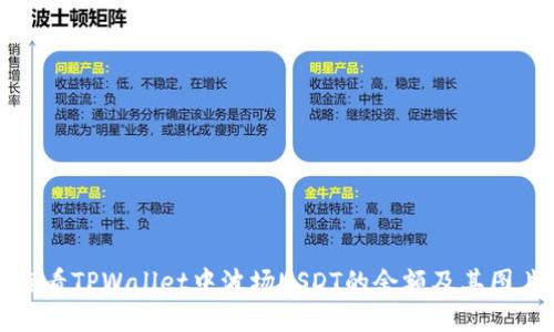 如何查看TPWallet中波场USDT的余额及其图片说明
