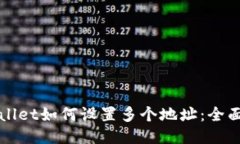 TPWallet如何设置多个地址：全面指南