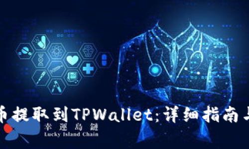 如何将代币提取到TPWallet：详细指南与注意事项