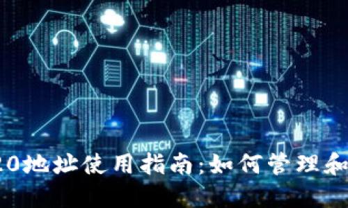 TPWallet TRC20地址使用指南：如何管理和转换TRC20代币